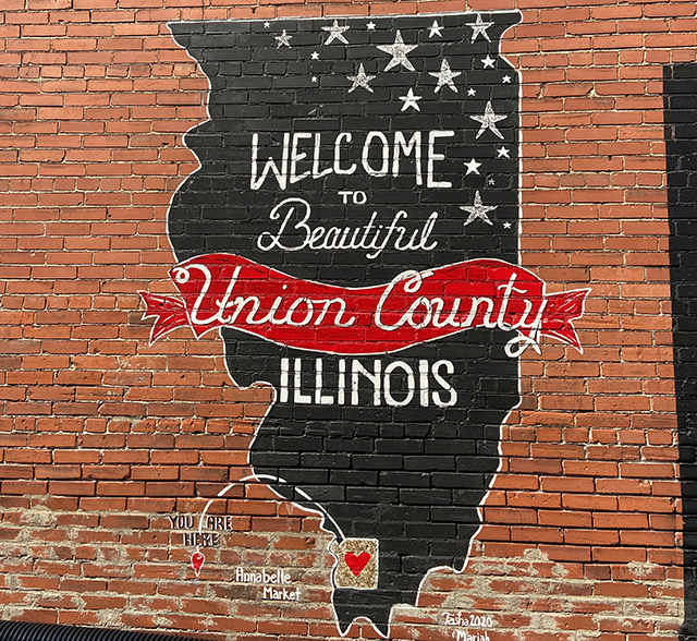 outline of illinois painted on brick wall